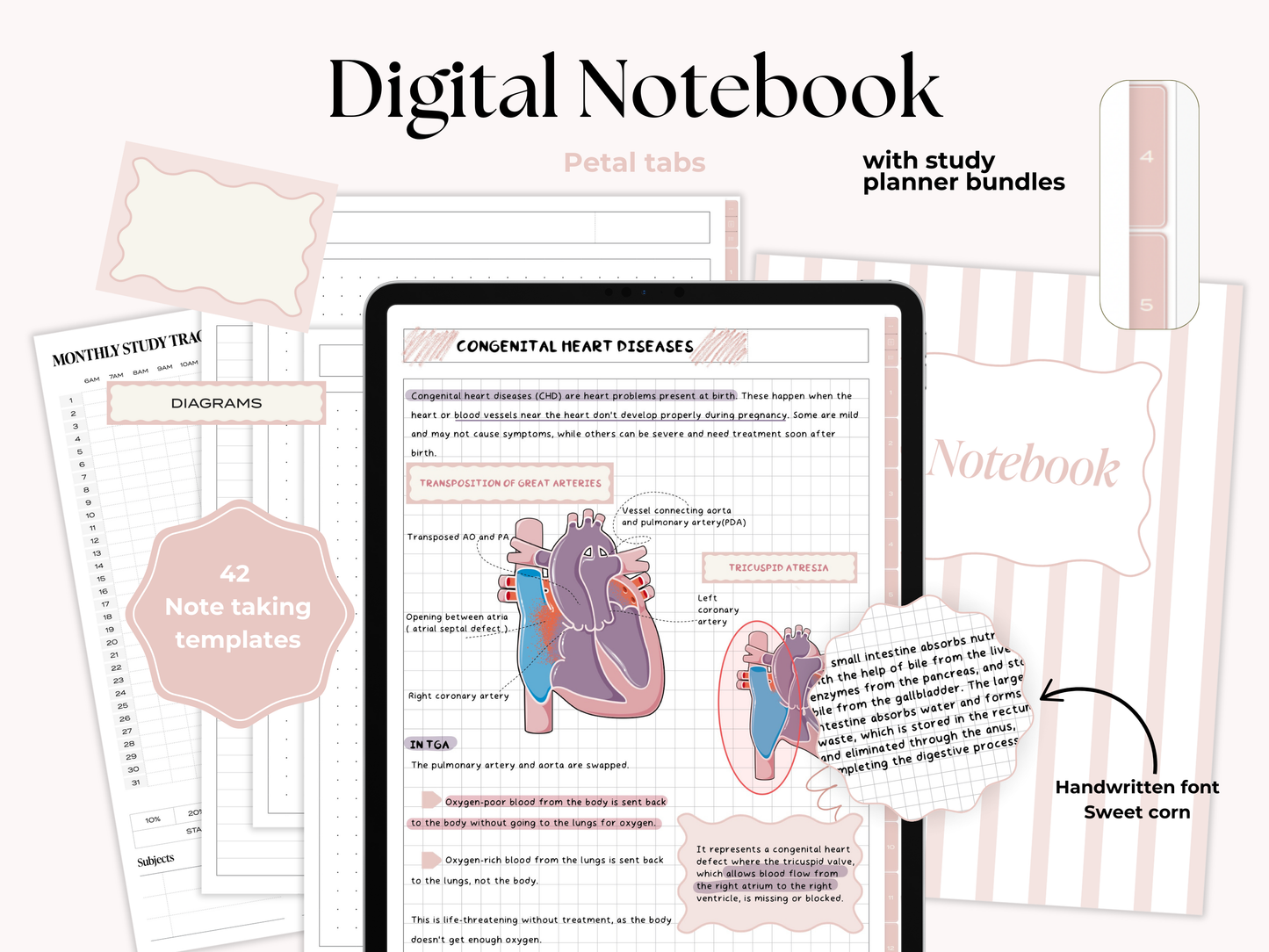 Student Digital Notebook - Petal Tabs