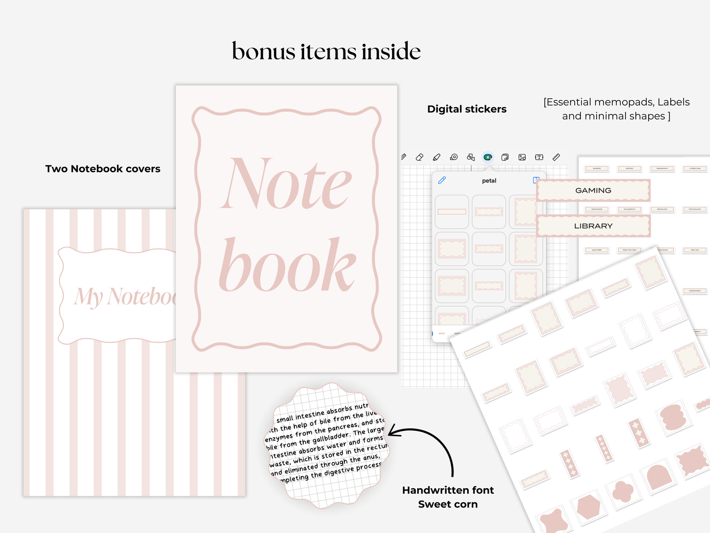 Student Digital Notebook - Petal Tabs