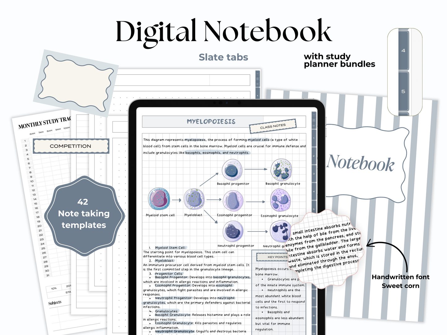 Student Digital Notebook - Slate Tabs