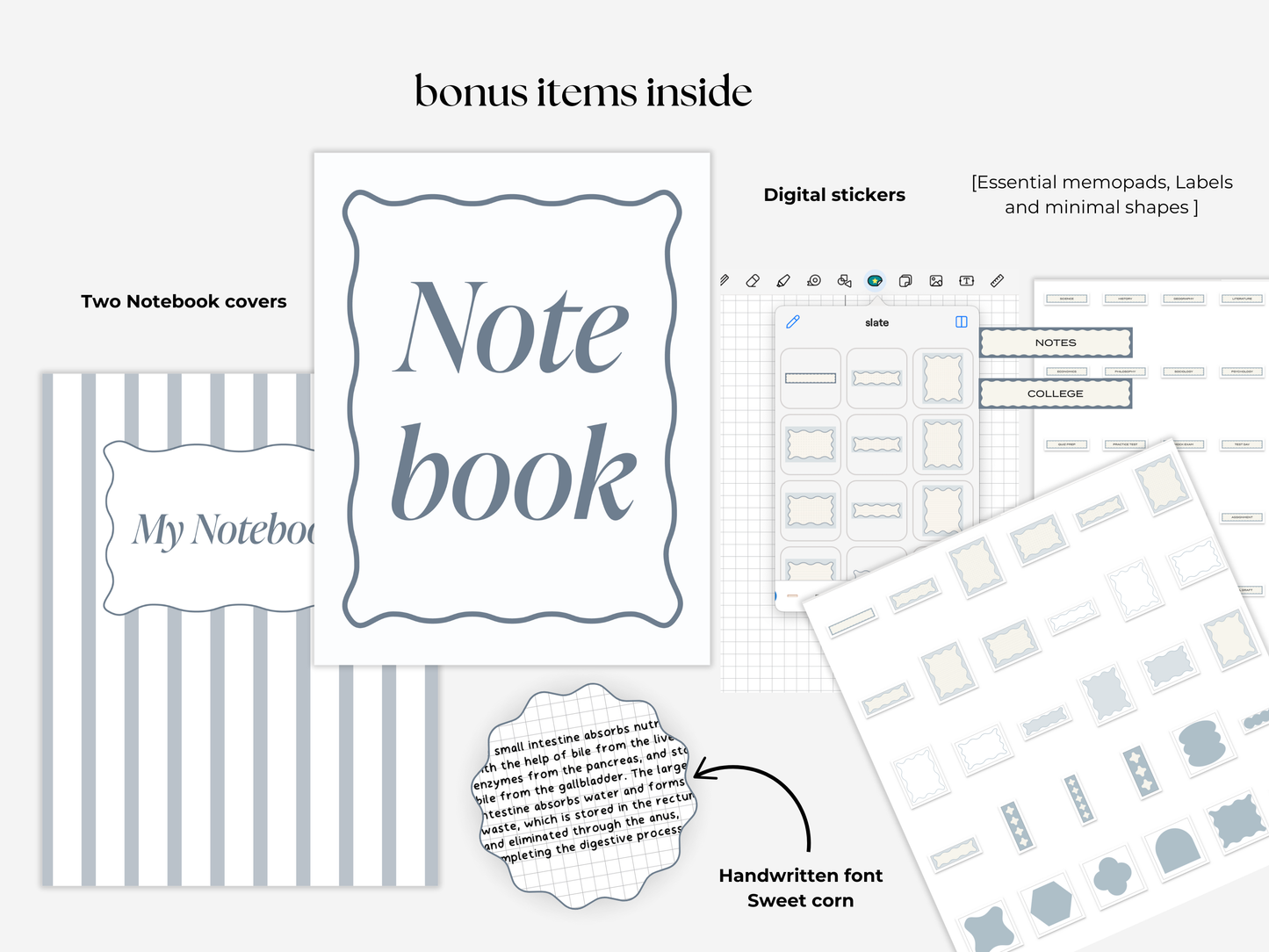 Student Digital Notebook - Slate Tabs